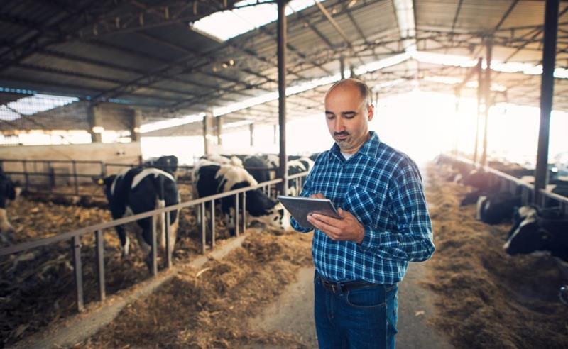 Nova Zelândia leva tecnologia pecuária a Campo Grande em missão comercial organizada pela NZTE